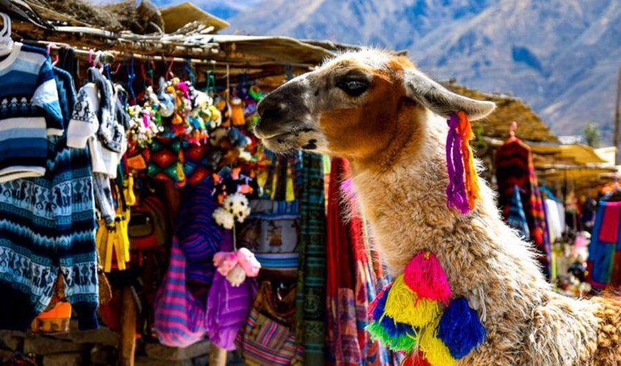 Andes: Colca Canyon Day-Trip - Cruz del Condor: the condor-watching payoff
