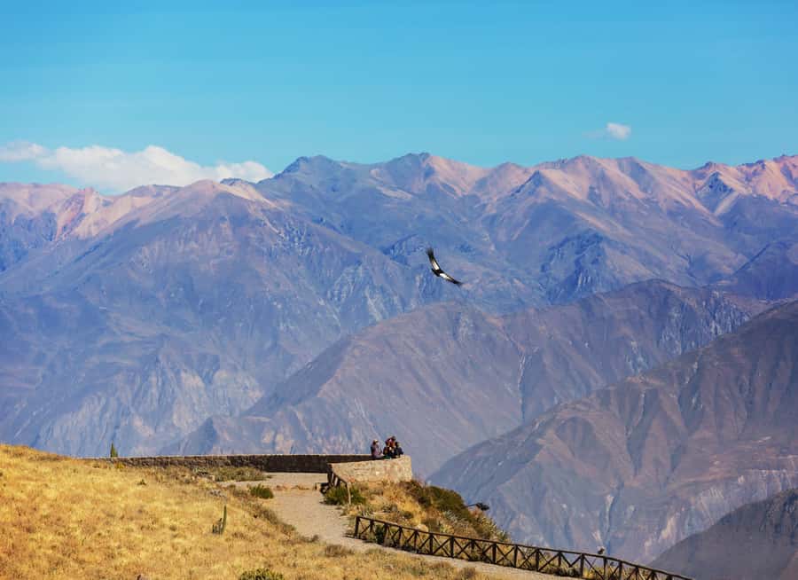 Arequipa: 2-Day Colca Canyon Classic Tour return to Arequipa - Yanque Chacapi thermal baths at 35 to 38°C