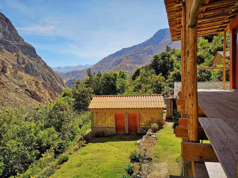 Arequipa: 2-day Colca Canyon Trekking, Ending in Puno - Cruz del Cóndor: condor flight viewing with real canyon scale