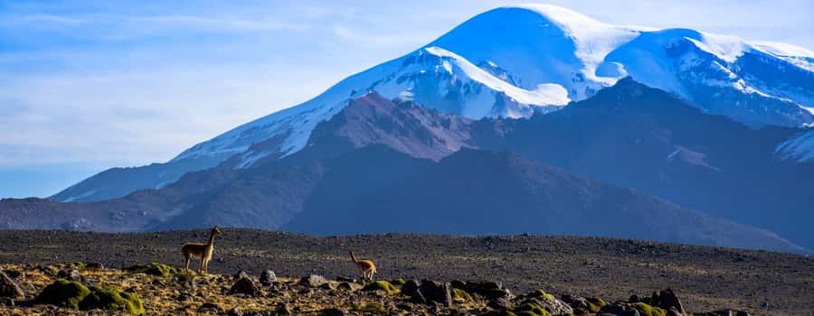 Arequipa | Ascent to Chachani Volcano 2 days / 1 night - Price and value at $144 per person, when you add up what you get