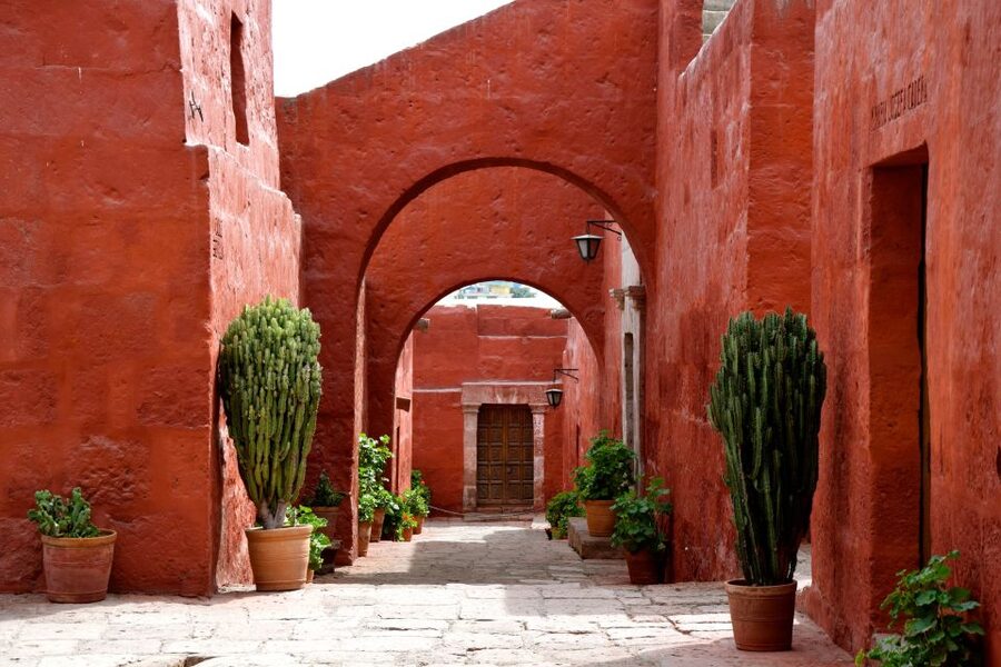 Arequipa: City and Country Tour - Incalpaca Outlet and mini-zoo: camelid facts you will actually remember