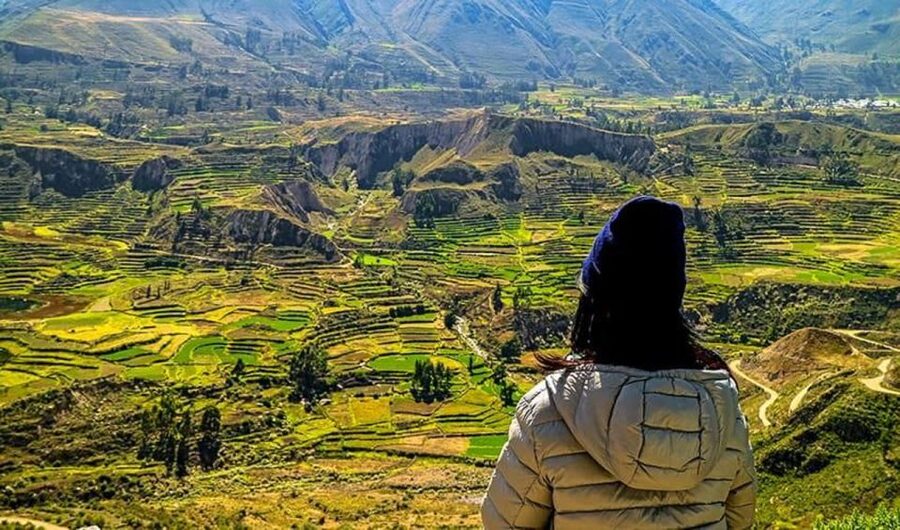 Arequipa: City and Country Tour - Sachaca and Balneario Tingo: church charm and a food-focused countryside pause