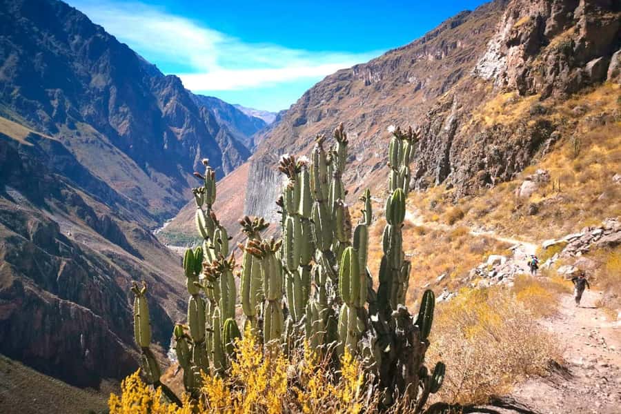 Arequipa : Colca Canyon 2-Day Adventure - Key moments that make this 2-day Colca trip worth it
