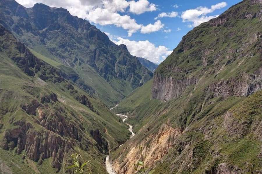 Arequipa: Colca Canyon Trekking 2 days and 1 night + food - Wildlife and reserve stops on the way back to Arequipa