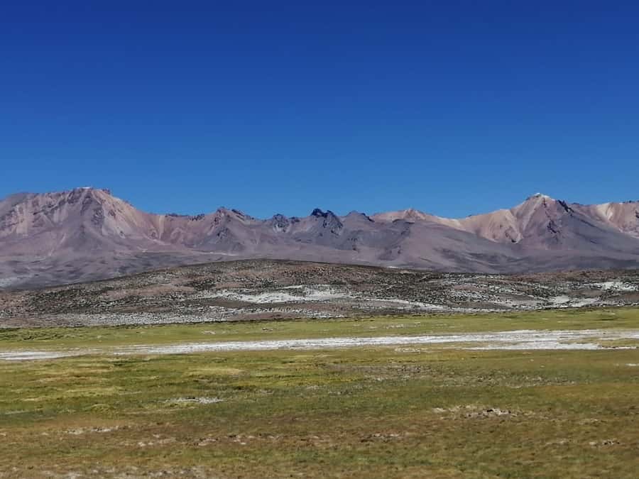Arequipa: Full-Day Tour to Salinas Salt Lake - Salinas and Aguada Blanca: walking, photo stops, and wildlife chances