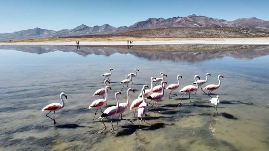 Arequipa: Full-Day Tour to Salinas Salt Lake - What to bring: your checklist for a high-altitude salt-flat day