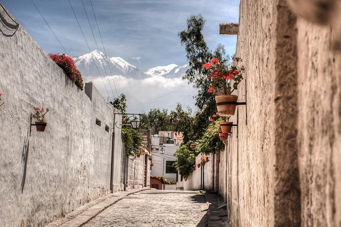 Arequipa, Historic and Colonial City and Santa Catalina Monastery - Price and logistics: what $61 buys you in 3.5 hours