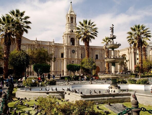 Arequipa Tasting Tour - Key highlights you will actually feel