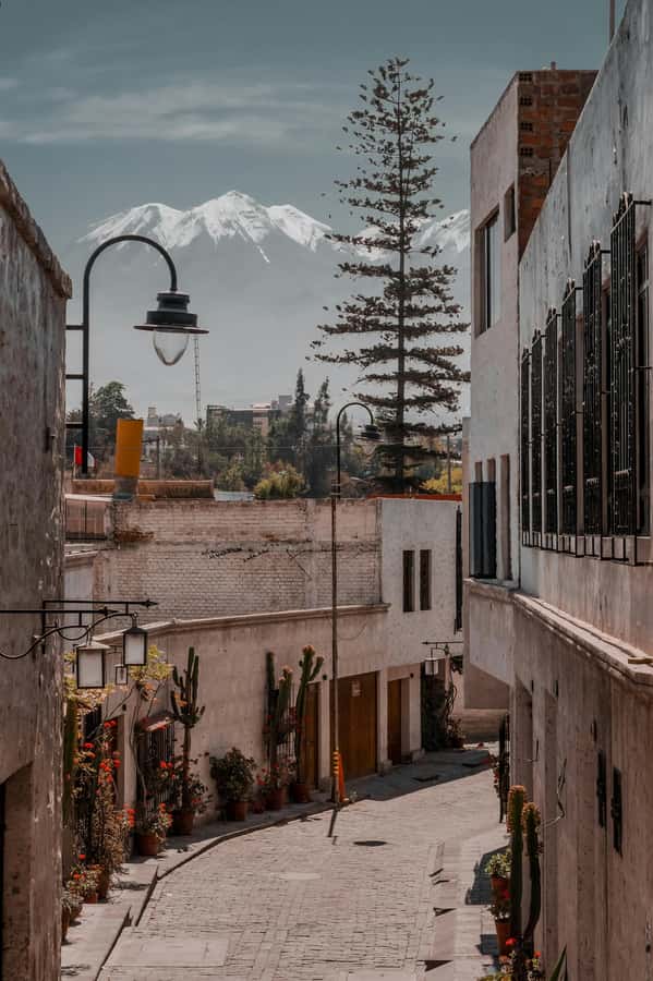 Arequipa: Walk through the Historic Center of the City - Key highlights to look for