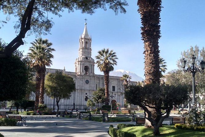 Arequipa Walking Tour city center and drinks experience - Guides, language, and the pace: what to watch for before you go