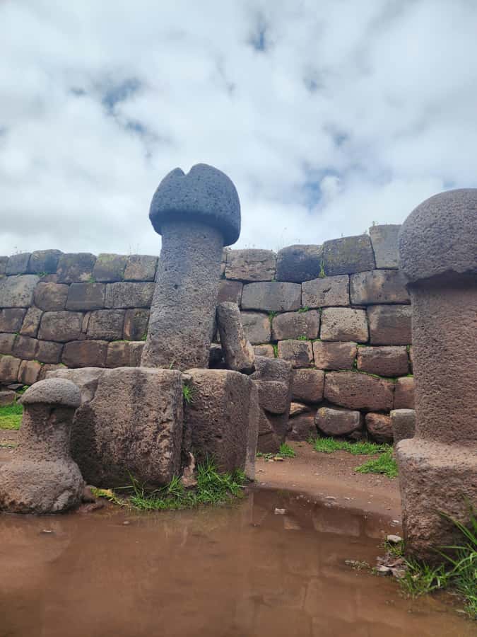 Aymara Route Mystical Cultural Tour - Circular Andean waru warus: farming terraces as a real-life laboratory