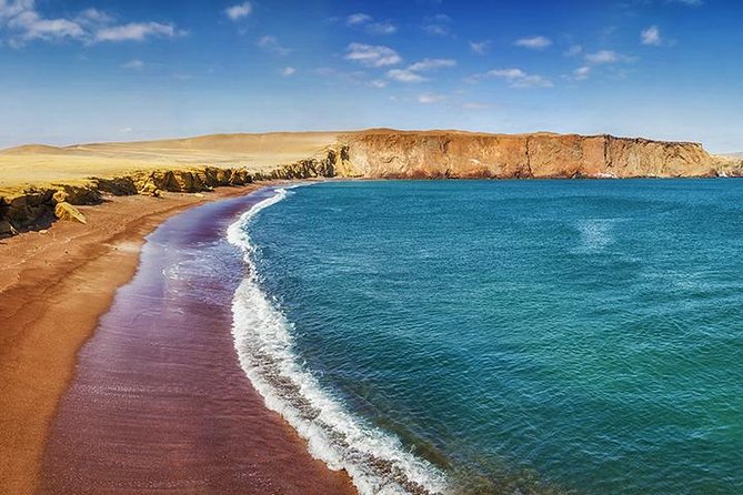 Ballestas island & Paracas reserve from PISCO CRUISESHIP TERMINAL - Why Ballestas and Paracas are a great one-stop shore excursion