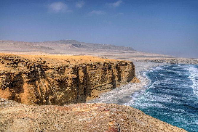 Ballestas island & Paracas reserve from PISCO CRUISESHIP TERMINAL - Wildlife viewing: sea lions, Humboldt penguins, and realistic expectations