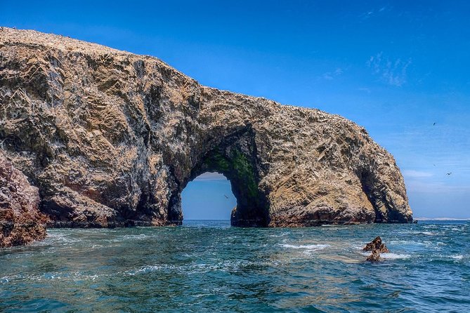 Ballestas island & Paracas reserve from PISCO CRUISESHIP TERMINAL - Speedboat to Islas Ballestas and the Candelabro geoglyph