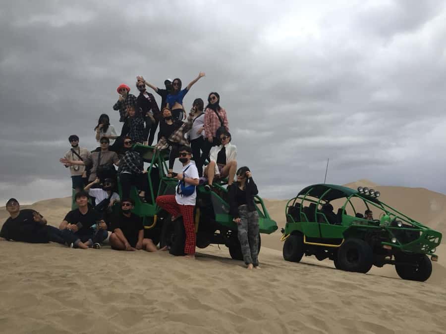 Ballestas Islands and Huacachina Oasis Half-Day Tour - Ballestas Islands Wildlife and Cave Time