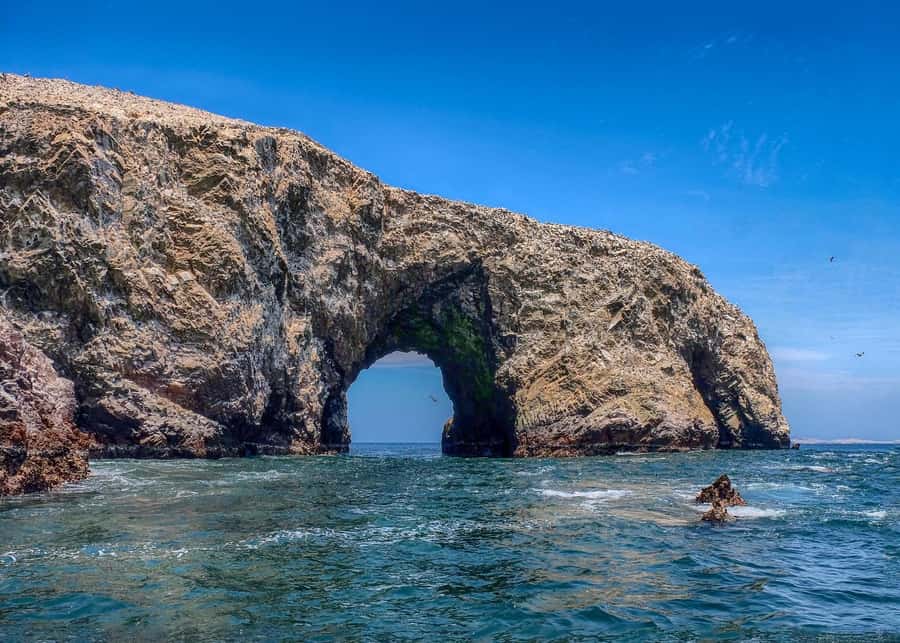 Ballestas Islands and Huacachina Oasis Half-Day Tour - Cathedral of Señor de Luren, Main Square, and Museum Stops