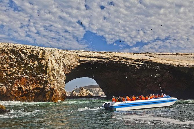 Ballestas Islands from San Martin Port CRUISESHIP TERMINAL - Speedboat ride: where wind, spray, and camera angles matter