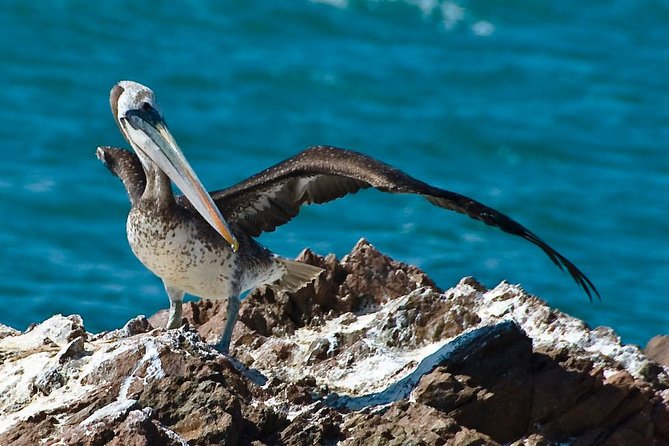 Ballestas Islands Group Tour from Paracas - Paracas Peninsula and the Candelabra stop, why you’ll care