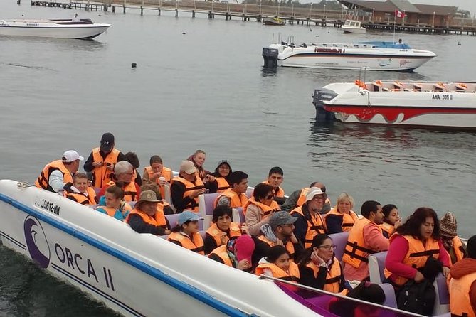 Ballestas Islands Group Tour from Paracas - How the guide works, and what you’ll actually do on the boat