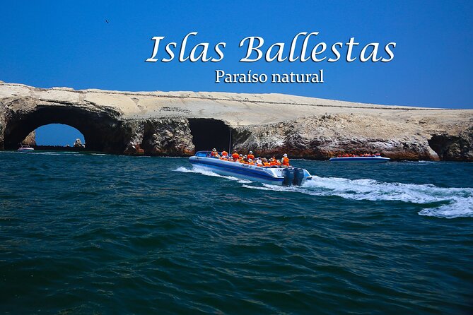 Ballestas Islands & National Reserve of Paracas from Ica - Ballestas Islands: El Candelabro and wildlife at sea