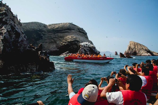 Ballestas Islands & National Reserve of Paracas from Ica - Language and comfort: the details that can make or break the day