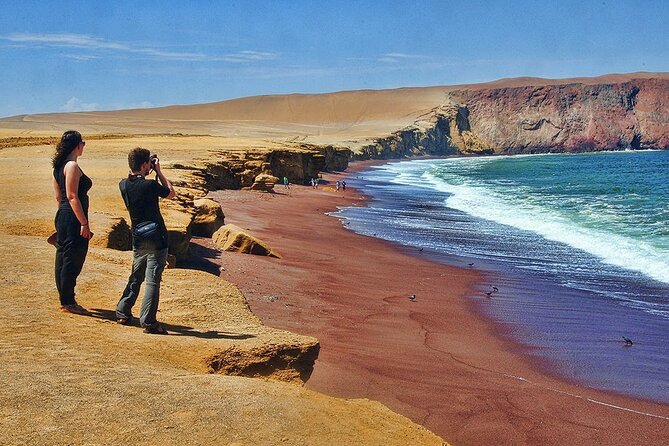 Ballestas Islands & National Reserve of Paracas from Ica - Paracas National Reserve: Istmo, Playa Roja, and Lagunillas swim time