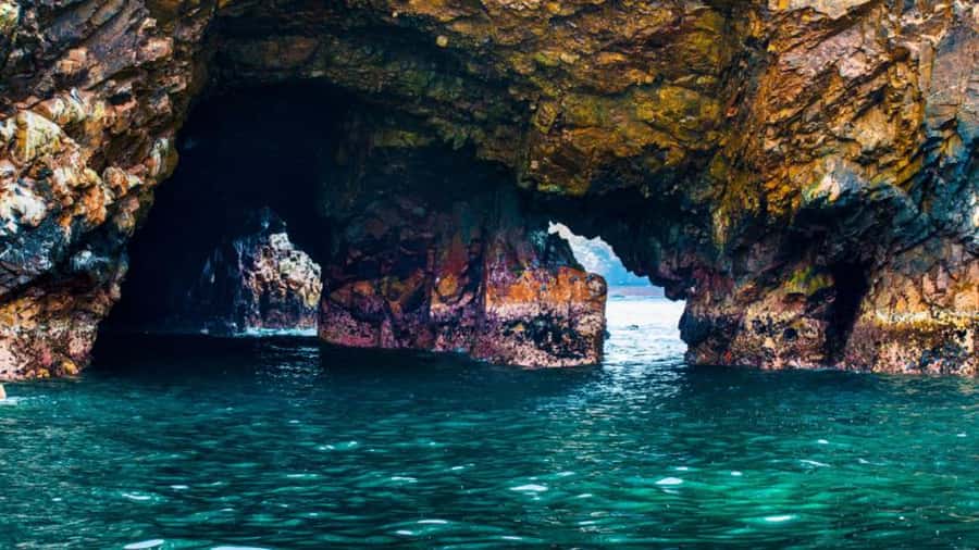 Ballestas Islands & Paracas National Reserve from Paracas - Key highlights worth your attention