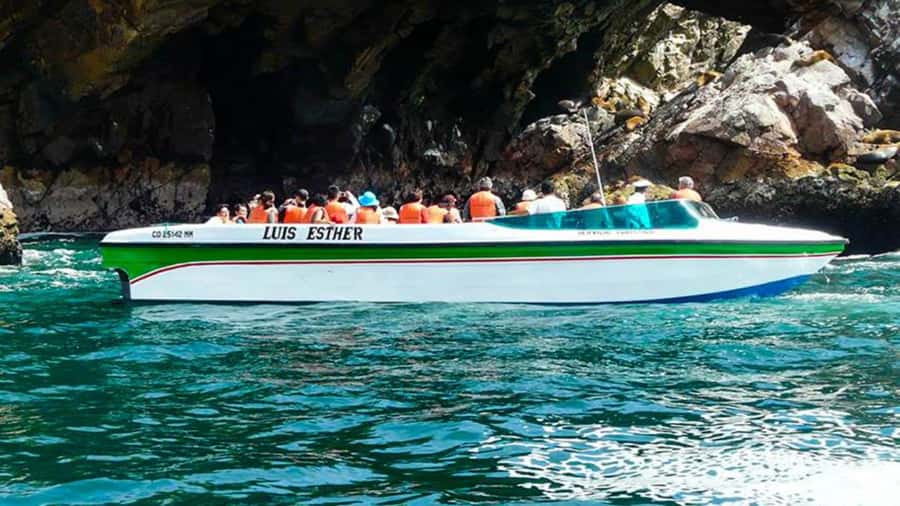 Ballestas Islands & Paracas National Reserve from Paracas - Logistics that affect your day: meeting point, timing, and pacing