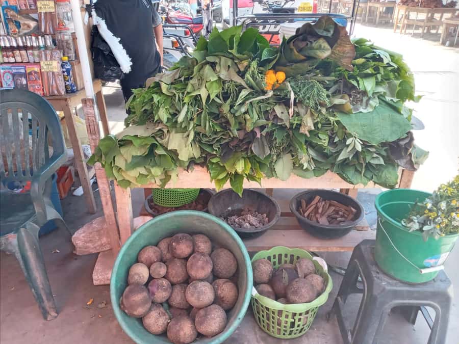 Belen Market & Floating City 2-3 Hour Private Tour - Quick Reality Check: Where This Tour Fits in Iquitos