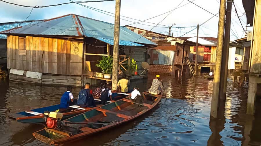 Belen Market & Floating City 2-3 Hour Private Tour - Floating City: Seeing Life Built Over Water