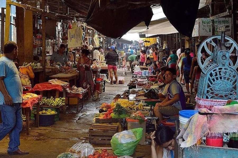 Belen Market & Floating City 2-3 Hour Private Tour - Kelwin as Your Private Guide: What Adds Value