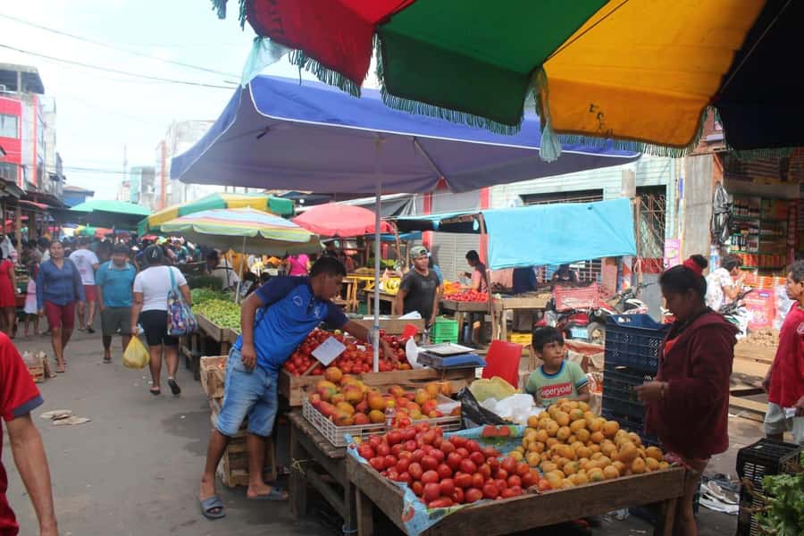 Belen Market & Floating City 2-3 Hour Private Tour - Logistics You Should Know Before You Go