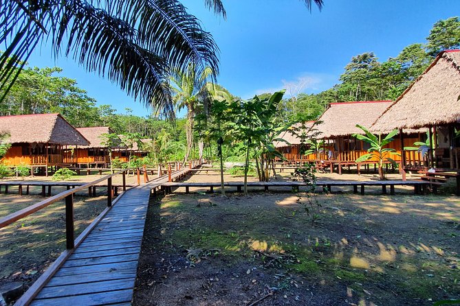 Best of Tambopata 2 nights by JunglePro - Tambopata National Reserve: what you’re aiming to see
