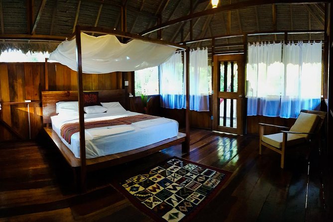 Best of Tambopata 2 nights by JunglePro - Macaws at the Chuncho clay lick: the signature moment