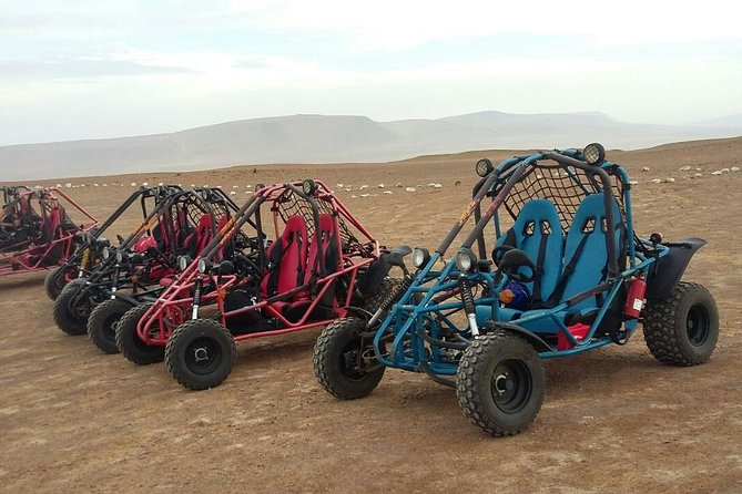 Buggy ride in Paracas National Reserve - Guides: friendly and informative, but language can vary