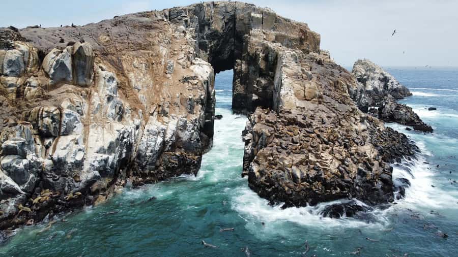Callao: Swimming with Sea Lions Palomino Islands Boat Tour - Getting to Callao and boarding at El Mirador