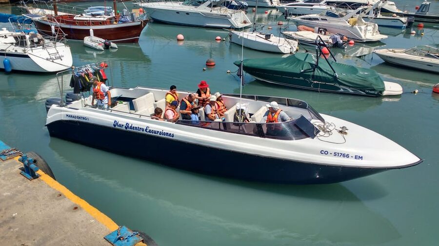 Callao: Swimming with Sea Lions Palomino Islands Boat Tour - Time, timing, and the reality of cold water