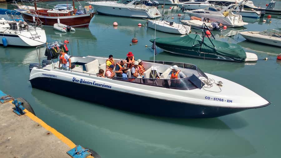 Callao: Swimming with Sea Lions Palomino Islands Boat Tour - What to bring (and what to skip) for a smooth swim day