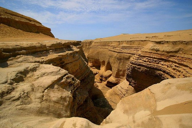 Cañón de los Perdidos Excursion - The guided walk: sand path, fossils, saltpeter, and water holes