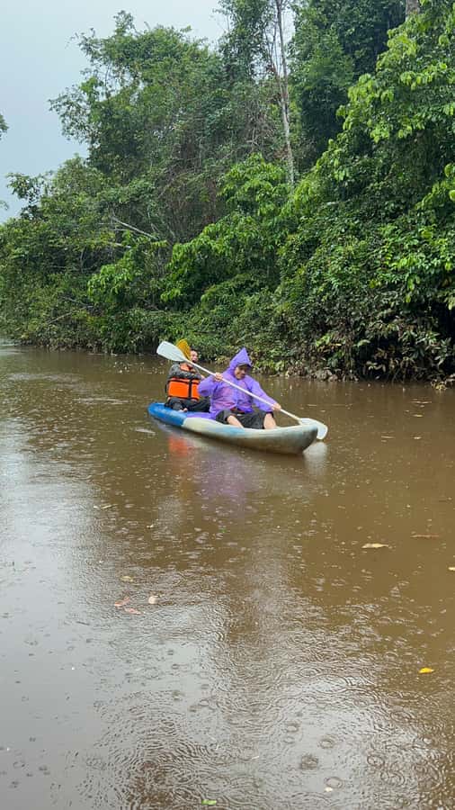 Canopy Tower, Zipline, Kayak, and Monkey Island … - A Full-Day Amazon Circuit From Puerto Maldonado