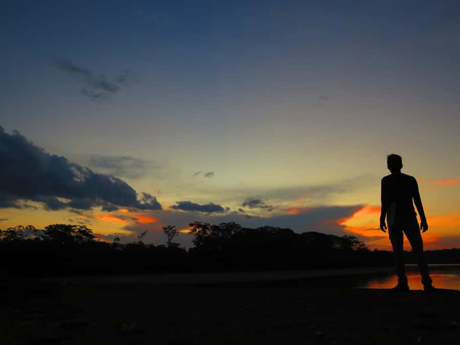 Capibara and caiman search on the Tambopata river - Key highlights to know before you go