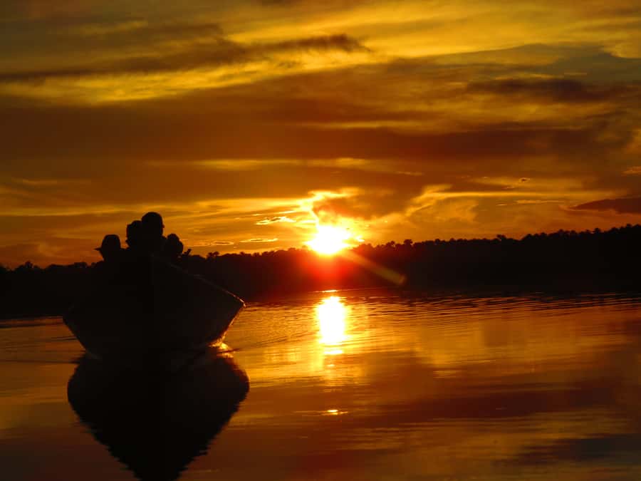 Capibara and caiman search on the Tambopata river - From Puerto Maldonado pickup to a real twilight start