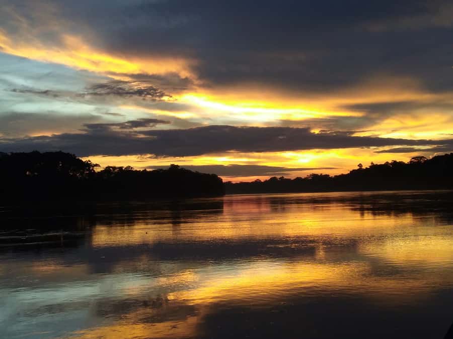 Capibara and caiman search on the Tambopata river - The Tambopata River sunset cruise: where to look and what you’re really seeing