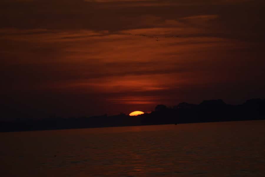 Capibara and caiman search on the Tambopata river - Price and value: what $55 buys on the Tambopata at sunset