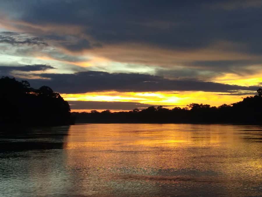 Capibara and caiman search on the Tambopata river - Weather and reality checks before you commit