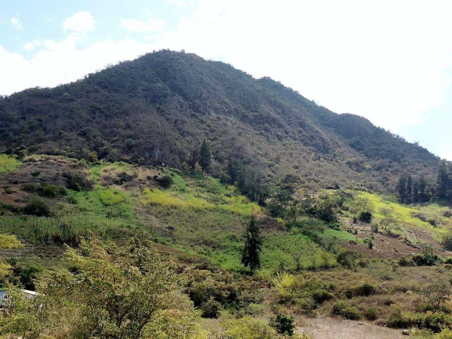 Chiclayo: Chaparri Ecological Reserve Tour - Key things that make this tour worth your time