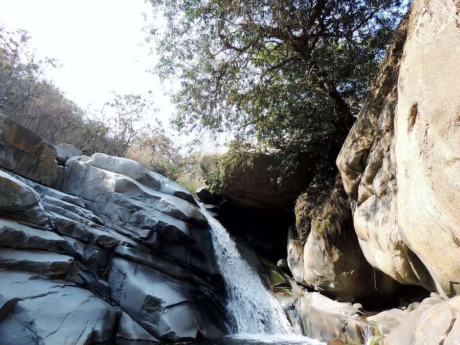 Chiclayo: Chaparri Ecological Reserve Tour - Price and value: what you get for about $79