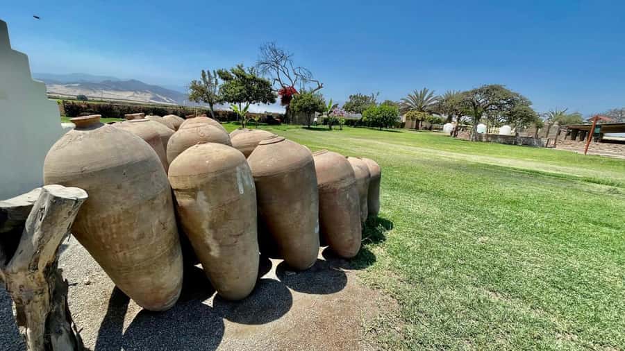 CITY TOUR ICA-HUACACHINA+BUGGIES IN PRIVATE CAR FROM PARACAS - Buggy rides and sandboarding, read the fine print before you budget