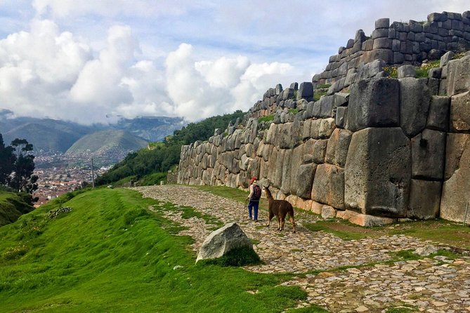 City Tour in Cusco & visit Museum South American Camelid Private. - Tambomachay Water Temple: where Inca engineering still runs
