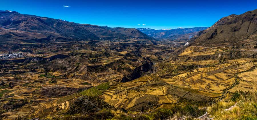 Colca Canyon: 2-Day Tour from Arequipa to Puno - Colca Canyon morning: Mirador Cruz del Condor and condor chances